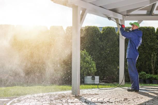 Best Warehouse Cleaning  in Floris, VA